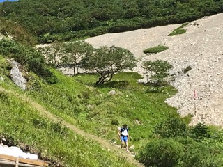 1375513C-A98D-41C5-9402-A0DE5EC48760.jpeg