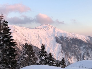4F05781D-AD87-4731-8E43-8C92DA7592D7.jpeg