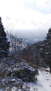 6DF1DACB-CF2A-46A5-AB99-5F8F53F62873.jpeg