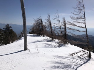 D12DA988-BB48-44E5-9C9A-563598E2B662.jpeg